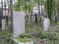 01-50 Porzsolt Kálmán